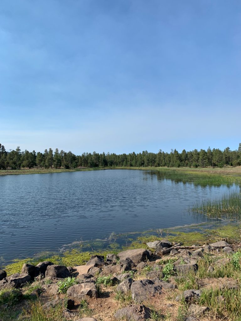 Woodland Lake best things to do in Pinetop AZ