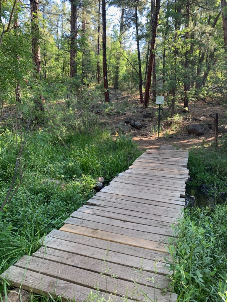 hiking and walking trails and adventures in pinetop arizona
