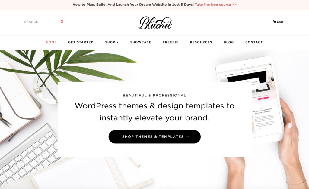 bluchic black friday cyber monday sale wordpress tempalates