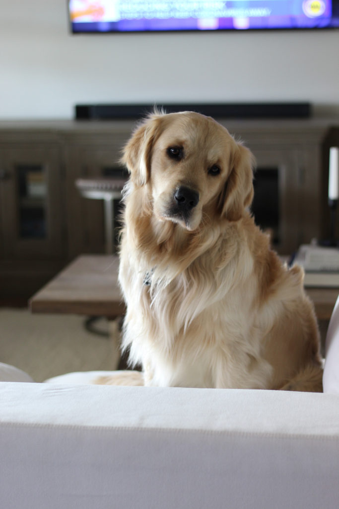 Laundry tips how to keep white towels and couch and sheets bright white with natural cleaners