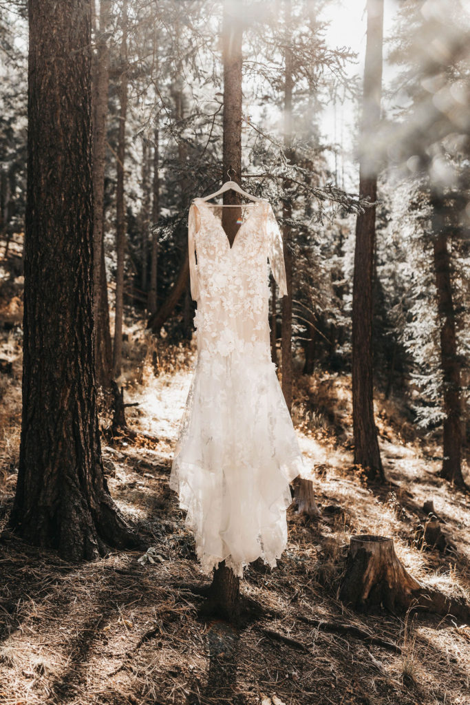 custom wedding dress romantic lace sheer asheville north carolina 1