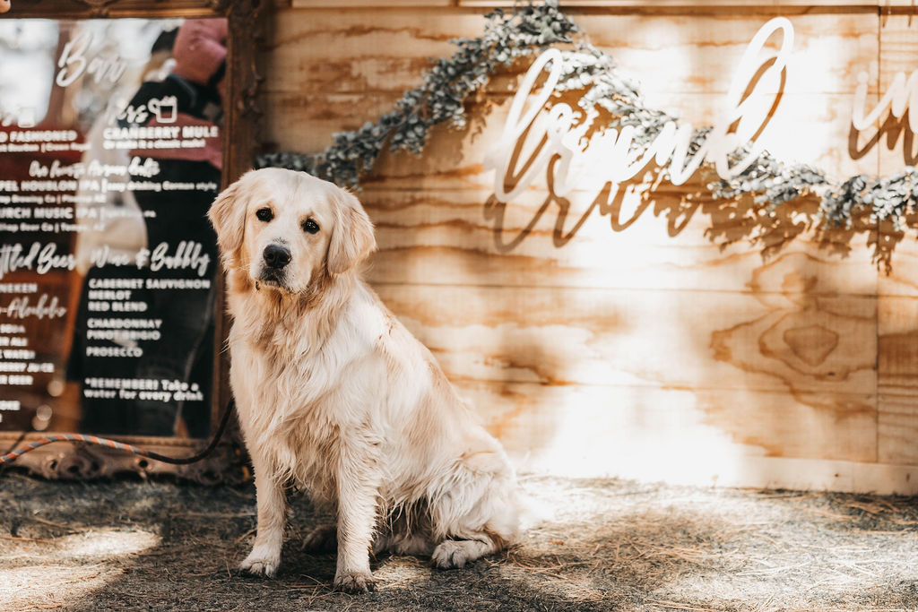 greer arizona wedding planning red setter pinetop show low weddings 16