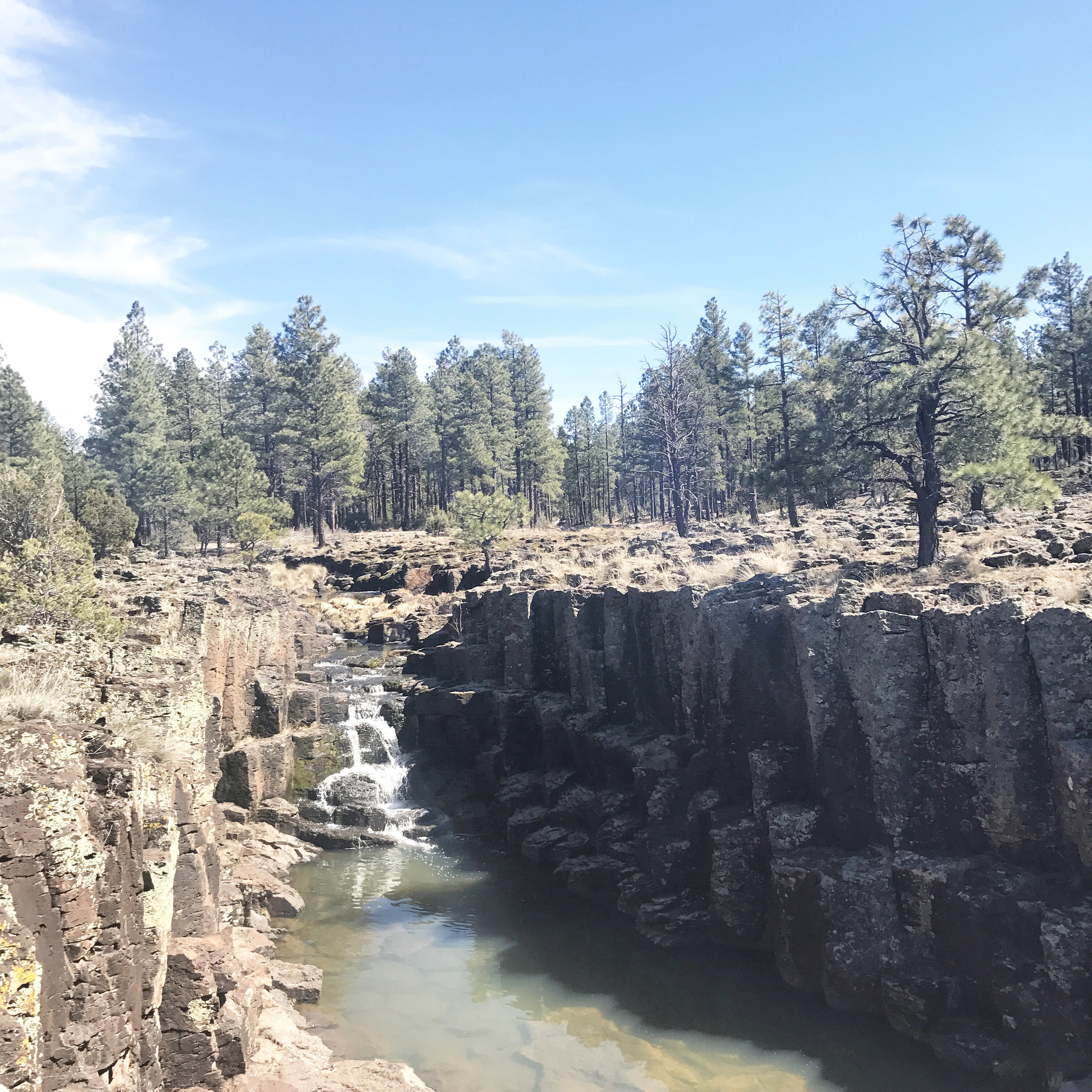 Hikes and Lakes in White Mountains Arizona Scott reservoir Big lake Show low lake1